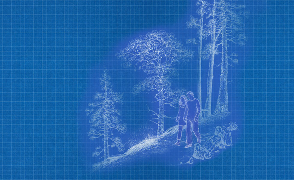 An illustration of two people walking through a forest